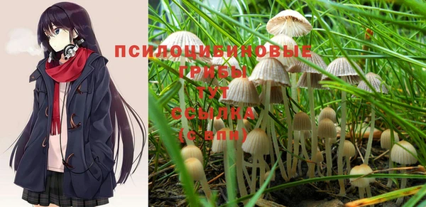 ешки Аркадак