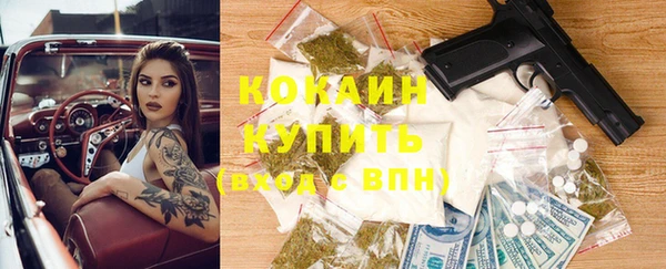 спайс Арсеньев