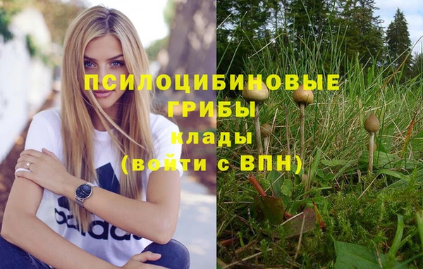 спайс Арсеньев