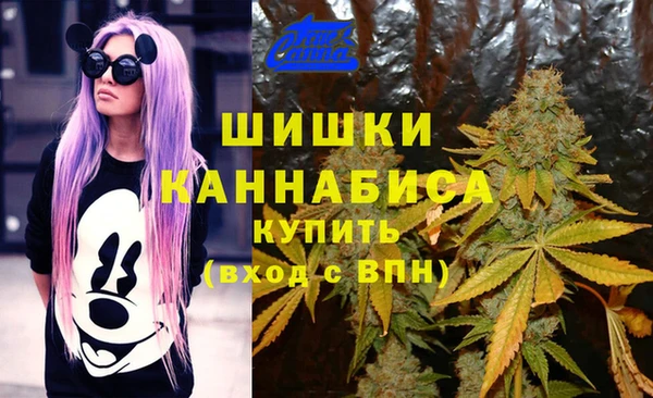 ешки Аркадак