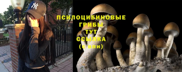спайс Арсеньев